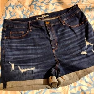 Universal Thread Blue Jean Shorts size 20